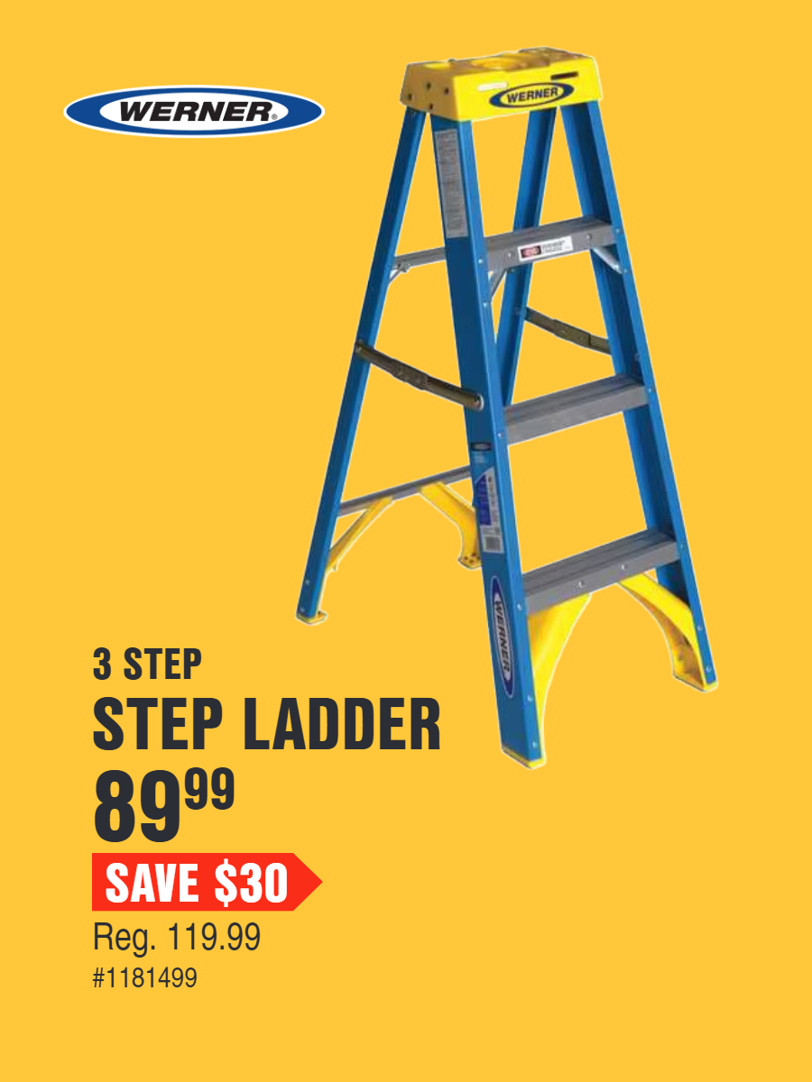 ladder